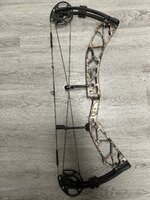 IMG_3257.jpeg IMG_3257.jpeg