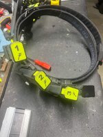 IMG_4948.jpeg IMG_4948.jpeg