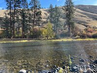 IMG_1693.jpeg