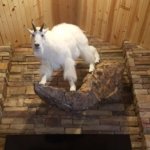 Close up Mount.jpg