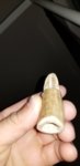 20190613_230138.jpg