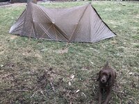 IMG_1298_Original.jpeg