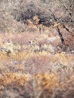 1000006940.jpg 1000006940.jpg