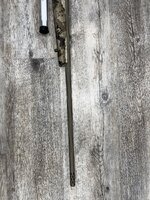 IMG_3048.jpeg