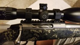 tikka Rail 4.jpg