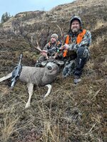 24 mule deer 1.jpg