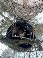 IMG_2860.jpeg IMG_2860.jpeg