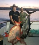 IMG_5913.JPG IMG_5913.JPG