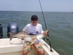 20190606_131524.jpg 20190606_131524.jpg
