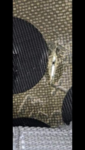 Screenshot_20190619-145038.png