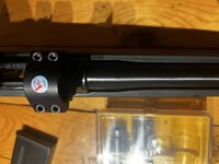 IMG_5066.jpeg IMG_5066.jpeg