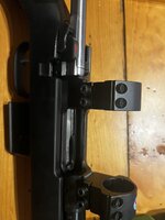 IMG_5058.jpeg IMG_5058.jpeg