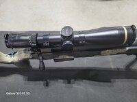 Leupold pic 3.jpg