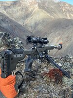 IMG_4995.jpeg IMG_4995.jpeg