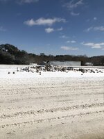 IMG_0562.jpeg IMG_0562.jpeg