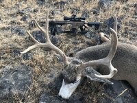 IMG_6175.jpeg IMG_6175.jpeg