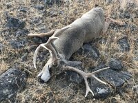 IMG_6166.jpeg IMG_6166.jpeg