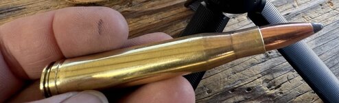 IMG_0105.jpeg IMG_0105.jpeg