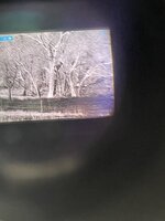 IMG_7674.jpeg