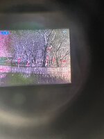 IMG_7672.jpeg