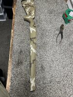 IMG_6994.jpeg