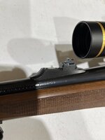 IMG_0950.jpeg
