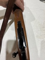 IMG_0952.jpeg