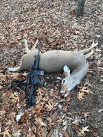 DPMS.jpg
