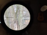 IMG_1196.JPG
