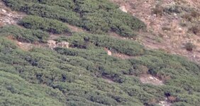 IMG_0264.jpeg