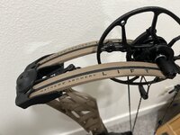 IMG_8393.jpeg
