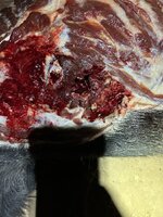 IMG_0112.jpeg
