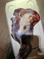 IMG_0141.jpeg