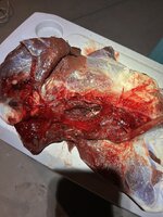 IMG_0143.jpeg