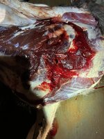 IMG_0145.jpeg