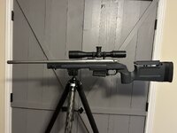 IMG_5383.jpeg