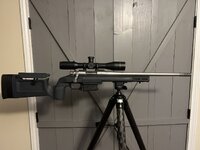 IMG_5384.jpeg