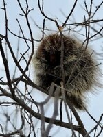 IMG_0925.jpeg