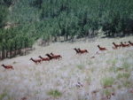 IMG_0630.JPG
