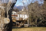 RIMG0013 (10).JPG