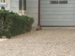 8F14A693-3B84-4482-ADFB-C31D05645AEB.jpeg