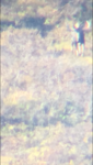 IMG_4178.png