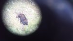 20170819_192711.jpg