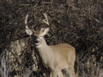 DSCN1078.JPG