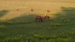 IMG_20190622_203747116.jpg