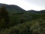 20190605_061201.jpg