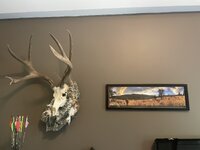 IMG_3299.jpeg IMG_3299.jpeg