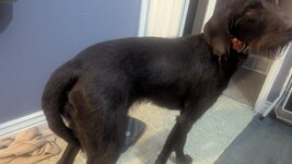 PXL_20241216_132948490.jpg PXL_20241216_132948490.jpg