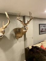 IMG_1836.jpeg IMG_1836.jpeg