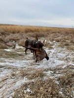 IMG_9401.jpg IMG_9401.jpg